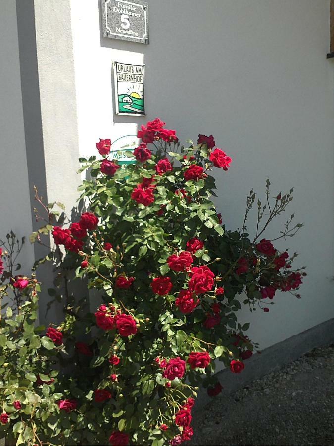 Schnatterhof Villa Lambrechten Exteriör bild